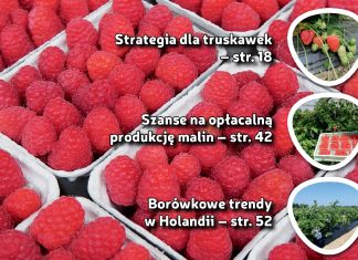 Jagodnik 8/2018 – co ciekawego w bieżącym numerze?