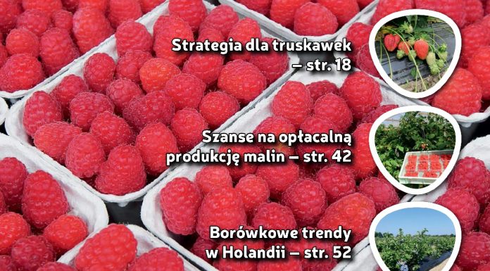 Jagodnik 8/2018 – co ciekawego w bieżącym numerze?