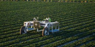 Roboty do zbioru truskawek