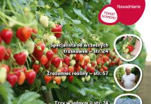 Jagodnik 1/2019 już w sprzedaży