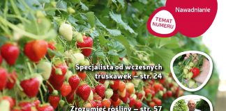 Jagodnik 1/2019 już w sprzedaży