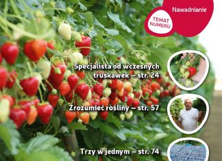 Jagodnik 1/2019 już w sprzedaży