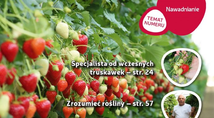 Jagodnik 1/2019 już w sprzedaży
