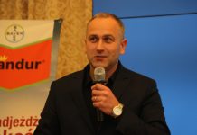 Sivanto Prime 200 SL – nowy preparat do ochrony truskawek pod osłonami