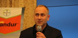 Sivanto Prime 200 SL – nowy preparat do ochrony truskawek pod osłonami