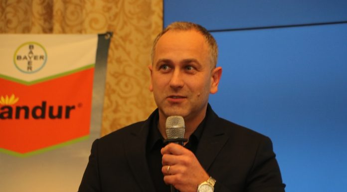 Sivanto Prime 200 SL – nowy preparat do ochrony truskawek pod osłonami