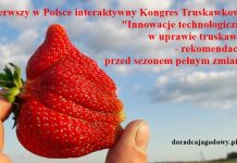 Kongres Truskawkowy już wkrótce!