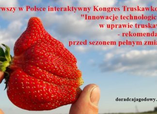 Kongres Truskawkowy już wkrótce!