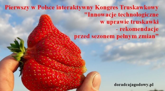 Kongres Truskawkowy już wkrótce!