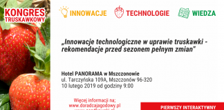 Kongres Truskawkowy już 10 lutego w Mszczonowie (program)