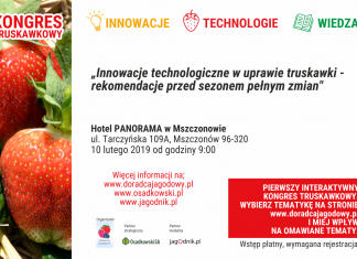 Kongres Truskawkowy już 10 lutego w Mszczonowie (program)