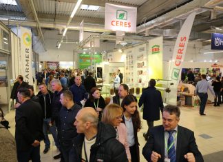 TSW 2019 – znów zaskakuje