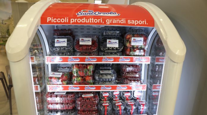 W dyskontach zakupy spożywcze robi 70% Polaków. Małe sklepy wybiera tylko 1 na 10 osób