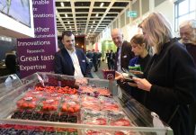 Fruit Logistica 2019 – trendy na rynku opakowań