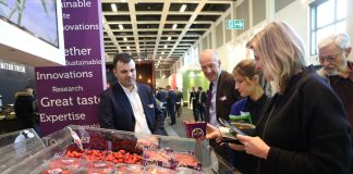Fruit Logistica 2019 – trendy na rynku opakowań