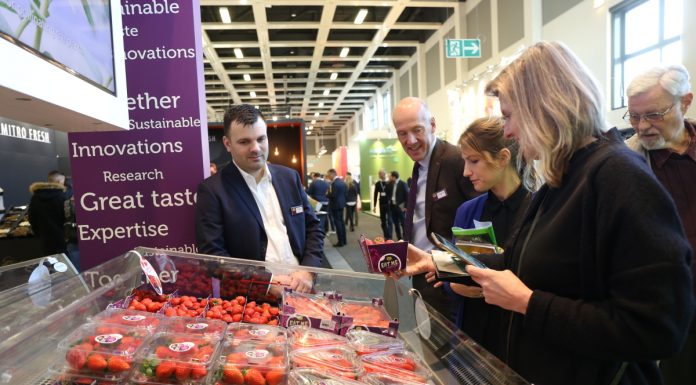 Fruit Logistica 2019 – trendy na rynku opakowań