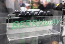 Maszyny do pakowania