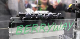 Maszyny do pakowania