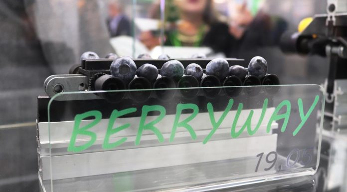 Maszyny do pakowania