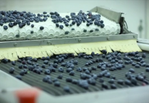 Berry Group pakuje przez cały rok