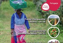 Jagodnik 2/2019 – już w sprzedaży