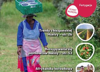 Jagodnik 2/2019 – już w sprzedaży