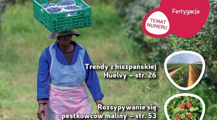 Jagodnik 2/2019 – już w sprzedaży