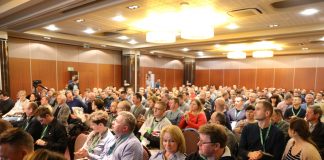 Truskawkowe rekomendacje przed sezonem (fotogaleria)