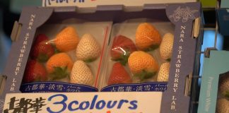 Truskawki za ponad 500 zł?