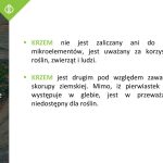 AUT_czerwinsk_osadkowski0014