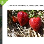 AUT_czerwinsk_osadkowski0016