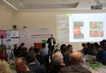 Zalecenia dla truskawek z AUT we Wrocławiu