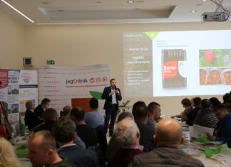 Zalecenia dla truskawek z AUT we Wrocławiu