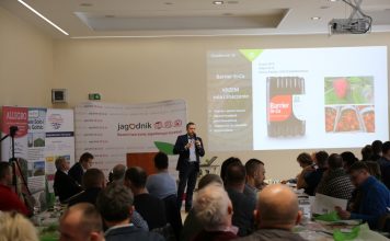 Zalecenia dla truskawek z AUT we Wrocławiu