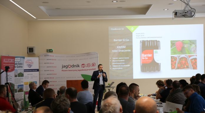 Zalecenia dla truskawek z AUT we Wrocławiu