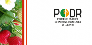 Konferencja Truskawkowa – Chmielno