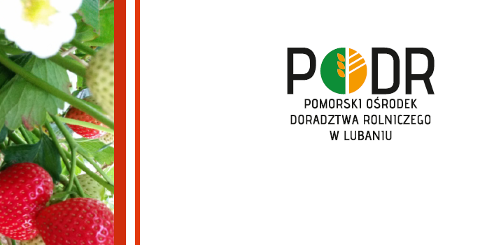 Konferencja Truskawkowa – Chmielno