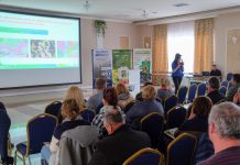 Wyzwania w uprawie polowej truskawek. Czy jesteśmy gotowi na nowy sezon?