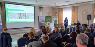 Wyzwania w uprawie polowej truskawek. Czy jesteśmy gotowi na nowy sezon?