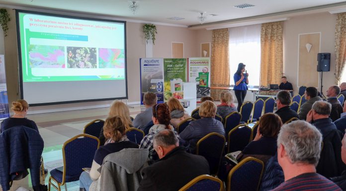 Wyzwania w uprawie polowej truskawek. Czy jesteśmy gotowi na nowy sezon?