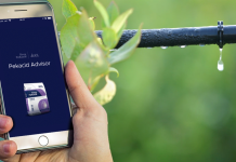 Nowa aplikacja PeKacid Advisor od ICL Speciality Fertilizers ułatwia pracę!