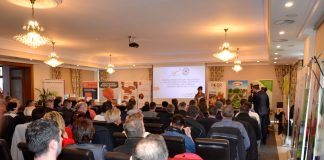 Truskawkowo na Kaszubach