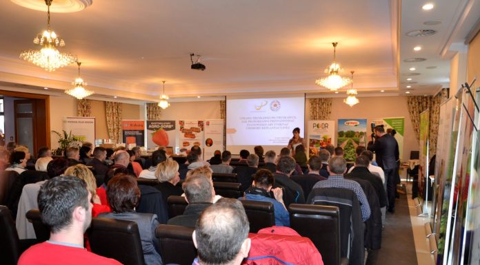 Truskawkowo na Kaszubach