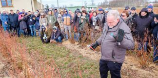 Wyzwania w produkcji borówki