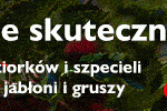 Sumi_ORTUS-750x100opt
