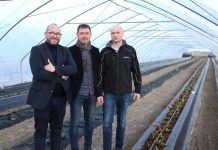 Truskawki w tunelach – początek