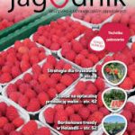 e-jagodnik_8-2018_okladkaa
