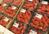 Jaka przyszłość czeka produkcję truskawek w Europie?