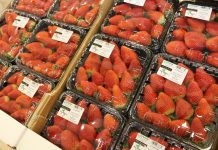 Światowa produkcja i handel truskawką. Przegląd sytuacji na przełomie kwietnia i maja, cz. 1 – Europa