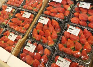 Jaka przyszłość czeka produkcję truskawek w Europie?